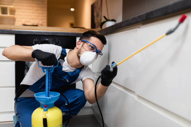 Best Exterminator Services  in Palos Hls, IL