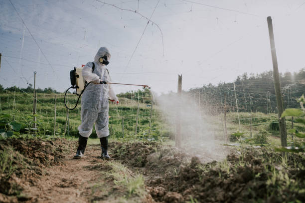 Best Best Pest Control Companies  in Palos Hls, IL