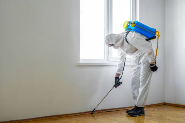 Best Mosquito Control Services  in Palos Hls, IL