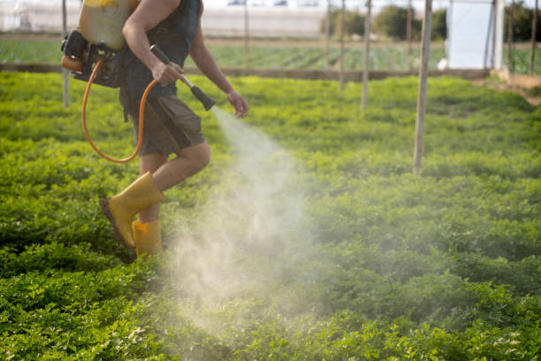 Best Exterminator Services  in Palos Hls, IL
