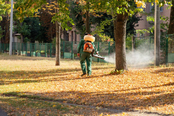 Best Termite Control Services  in Palos Hls, IL