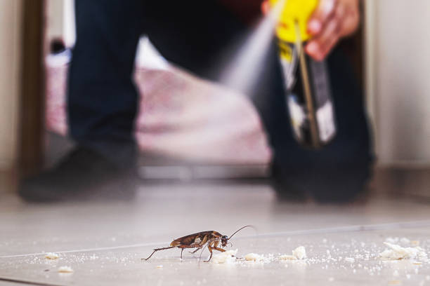 Best Flea Control Services  in Palos Hls, IL